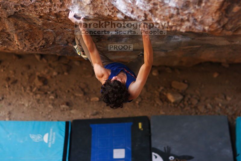 

Filename: SRM_20161124_1353151.jpg
Aperture: f/1.8
Shutter Speed: 1/400
Body: Canon EOS-1D Mark II
Lens: Canon EF 85mm f/1.2 L II