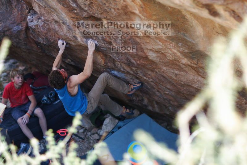 

Filename: SRM_20161124_1458053.jpg
Aperture: f/1.8
Shutter Speed: 1/400
Body: Canon EOS-1D Mark II
Lens: Canon EF 85mm f/1.2 L II