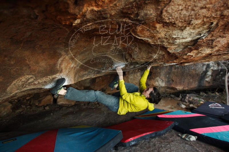 

Filename: SRM_20161210_1827010.jpg
Aperture: f/2.8
Shutter Speed: 1/200
Body: Canon EOS-1D Mark II
Lens: Canon EF 16-35mm f/2.8 L