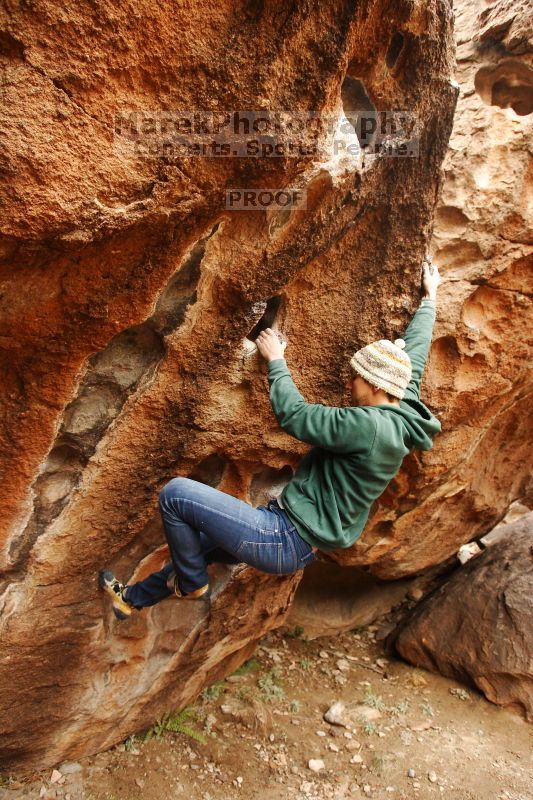 

Filename: SRM_20161209_1237370.jpg
Aperture: f/4.0
Shutter Speed: 1/250
Body: Canon EOS-1D Mark II
Lens: Canon EF 16-35mm f/2.8 L