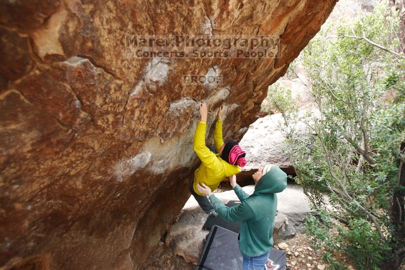 

Filename: SRM_20161209_1424060.jpg
Aperture: f/2.8
Shutter Speed: 1/250
Body: Canon EOS-1D Mark II
Lens: Canon EF 16-35mm f/2.8 L