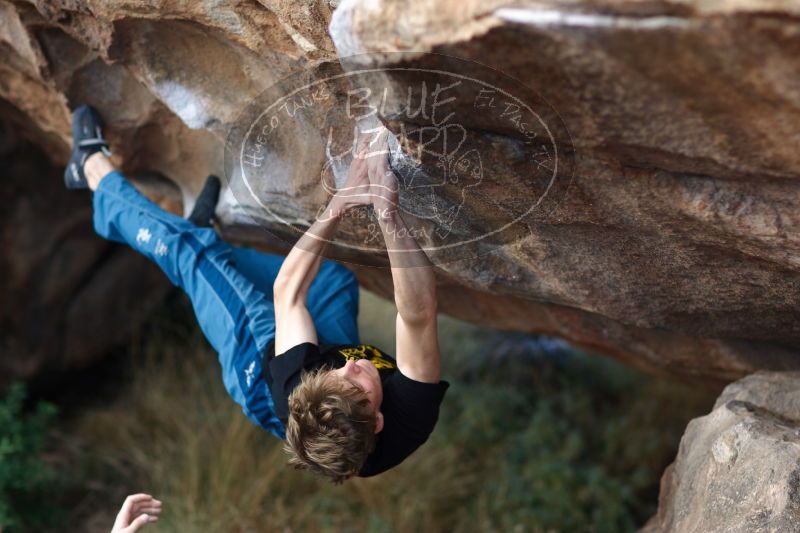 

Filename: SRM_20161225_1302580.jpg
Aperture: f/2.0
Shutter Speed: 1/400
Body: Canon EOS-1D Mark II
Lens: Canon EF 85mm f/1.2 L II