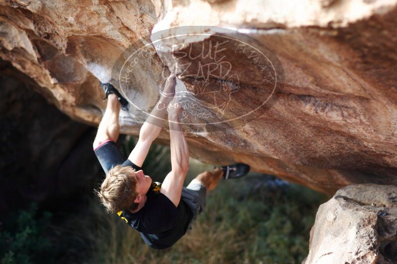 

Filename: SRM_20161225_1338391.jpg
Aperture: f/2.0
Shutter Speed: 1/800
Body: Canon EOS-1D Mark II
Lens: Canon EF 85mm f/1.2 L II