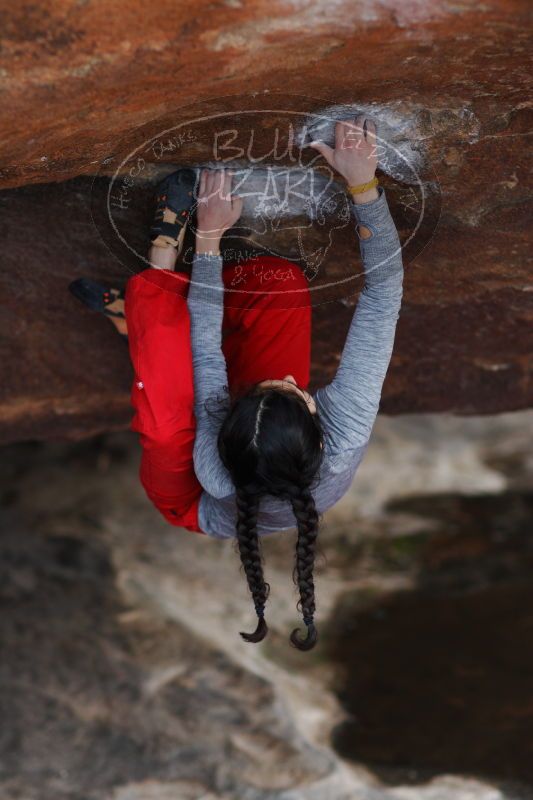 

Filename: SRM_20161222_1501550.jpg
Aperture: f/2.0
Shutter Speed: 1/800
Body: Canon EOS-1D Mark II
Lens: Canon EF 85mm f/1.2 L II