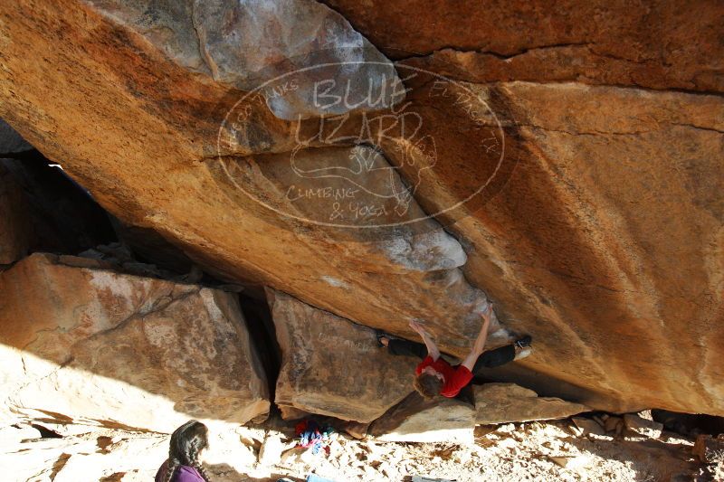 

Filename: SRM_20161226_1813371.jpg
Aperture: f/5.6
Shutter Speed: 1/400
Body: Canon EOS-1D Mark II
Lens: Canon EF 16-35mm f/2.8 L