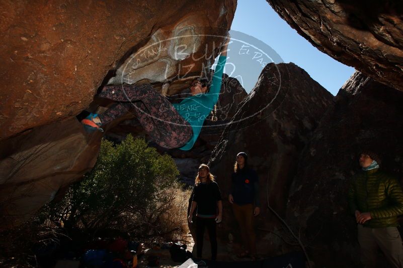 

Filename: SRM_20170128_1036510.jpg
Aperture: f/9.0
Shutter Speed: 1/250
Body: Canon EOS-1D Mark II
Lens: Canon EF 16-35mm f/2.8 L