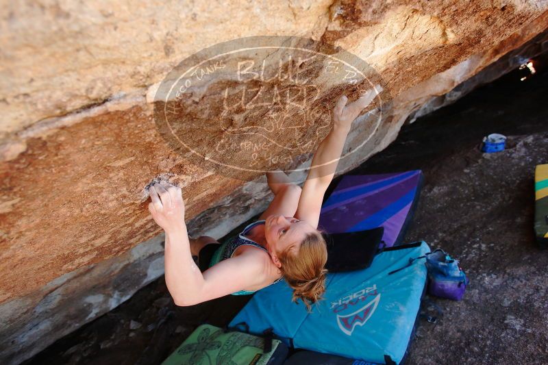 

Filename: SRM_20170325_1348381.jpg
Aperture: f/4.0
Shutter Speed: 1/320
Body: Canon EOS-1D Mark II
Lens: Canon EF 16-35mm f/2.8 L