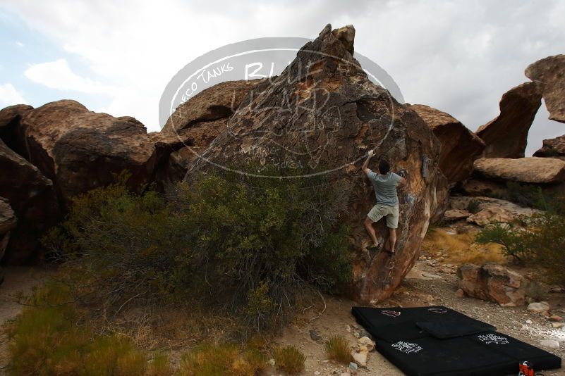 

Filename: SRM_20170625_1514360.jpg
Aperture: f/8.0
Shutter Speed: 1/250
Body: Canon EOS-1D Mark II
Lens: Canon EF 16-35mm f/2.8 L