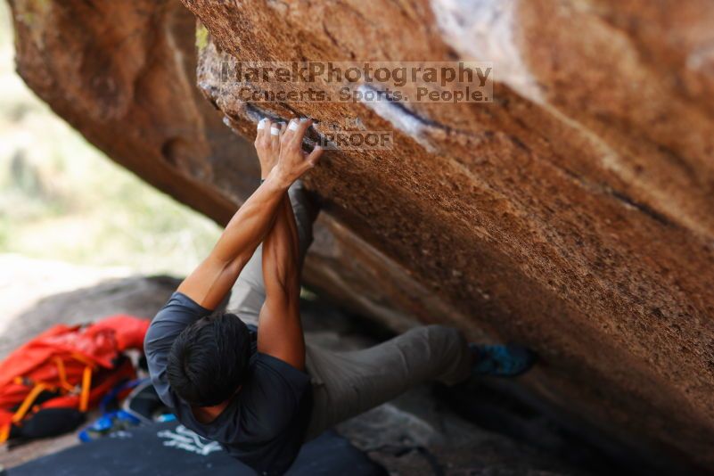 

Filename: SRM_20170703_1212200.jpg
Aperture: f/2.0
Shutter Speed: 1/1000
Body: Canon EOS-1D Mark II
Lens: Canon EF 85mm f/1.2 L II