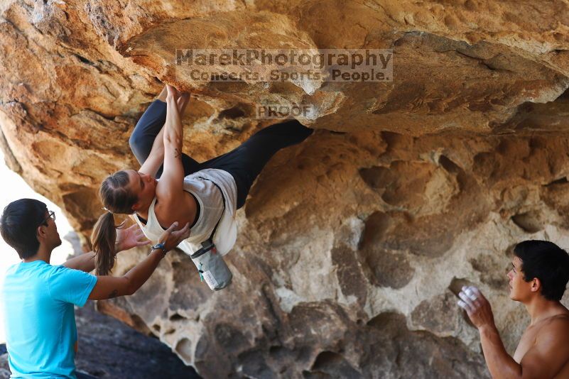 

Filename: SRM_20170703_1342420.jpg
Aperture: f/2.8
Shutter Speed: 1/320
Body: Canon EOS-1D Mark II
Lens: Canon EF 85mm f/1.2 L II