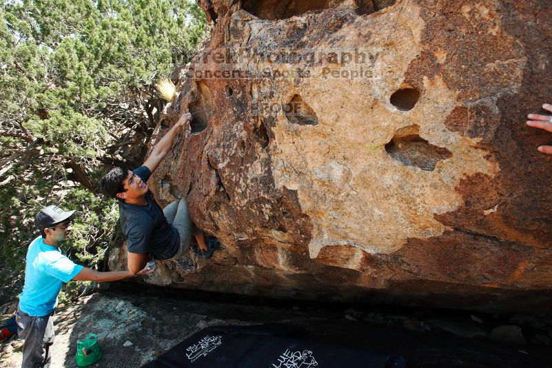 

Filename: SRM_20170703_1429290.jpg
Aperture: f/5.6
Shutter Speed: 1/640
Body: Canon EOS-1D Mark II
Lens: Canon EF 16-35mm f/2.8 L