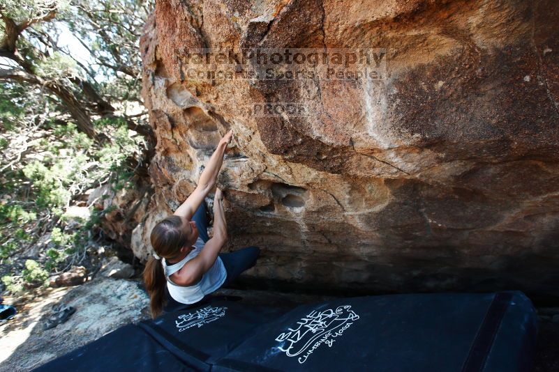 

Filename: SRM_20170703_1442361.jpg
Aperture: f/5.6
Shutter Speed: 1/320
Body: Canon EOS-1D Mark II
Lens: Canon EF 16-35mm f/2.8 L