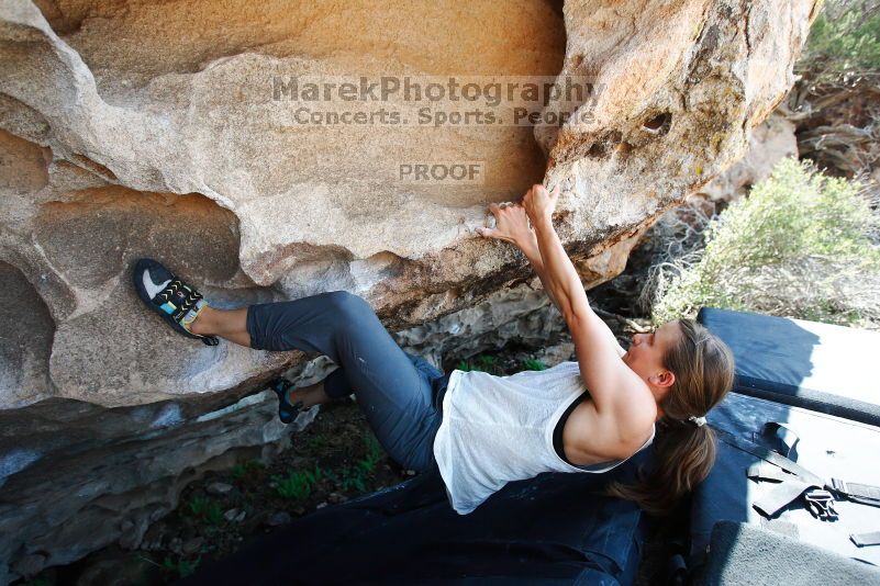 

Filename: SRM_20170703_1515001.jpg
Aperture: f/4.0
Shutter Speed: 1/800
Body: Canon EOS-1D Mark II
Lens: Canon EF 16-35mm f/2.8 L