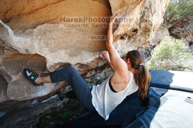 

Filename: SRM_20170703_1515060.jpg
Aperture: f/4.0
Shutter Speed: 1/800
Body: Canon EOS-1D Mark II
Lens: Canon EF 16-35mm f/2.8 L