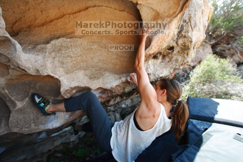 

Filename: SRM_20170703_1515063.jpg
Aperture: f/4.0
Shutter Speed: 1/1000
Body: Canon EOS-1D Mark II
Lens: Canon EF 16-35mm f/2.8 L