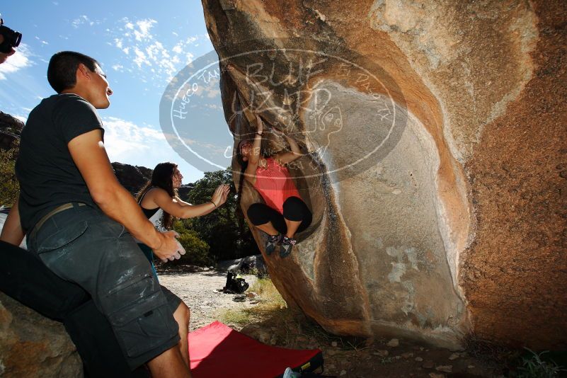 

Filename: SRM_20171020_1115540.jpg
Aperture: f/8.0
Shutter Speed: 1/250
Body: Canon EOS-1D Mark II
Lens: Canon EF 16-35mm f/2.8 L