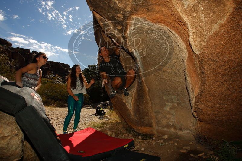 

Filename: SRM_20171020_1117020.jpg
Aperture: f/8.0
Shutter Speed: 1/250
Body: Canon EOS-1D Mark II
Lens: Canon EF 16-35mm f/2.8 L