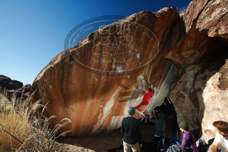 

Filename: SRM_20180127_1537250.jpg
Aperture: f/8.0
Shutter Speed: 1/250
Body: Canon EOS-1D Mark II
Lens: Canon EF 16-35mm f/2.8 L