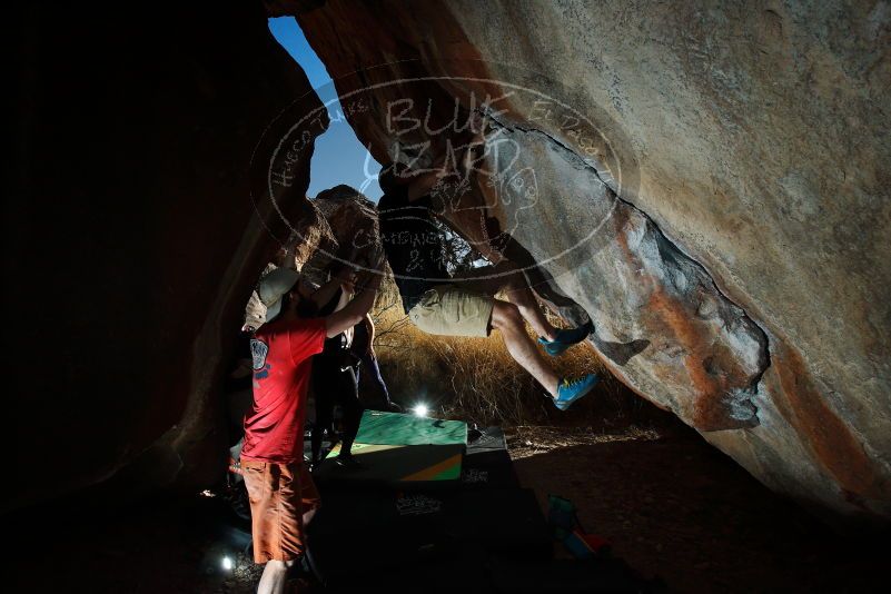 

Filename: SRM_20180127_1637030.jpg
Aperture: f/8.0
Shutter Speed: 1/250
Body: Canon EOS-1D Mark II
Lens: Canon EF 16-35mm f/2.8 L