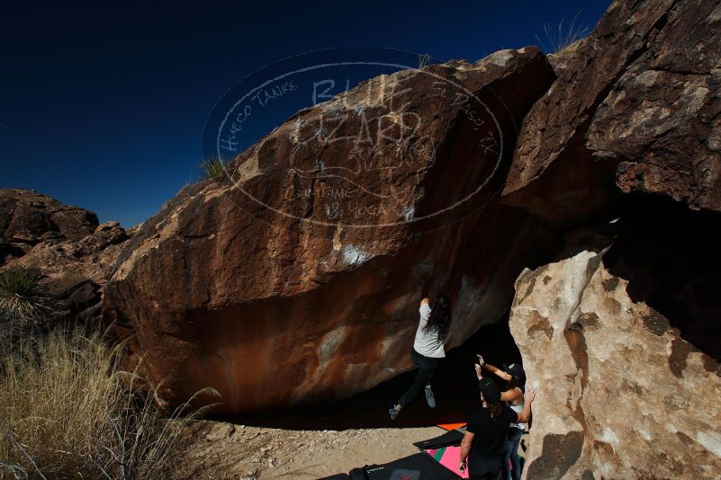 

Filename: SRM_20180209_1214260.jpg
Aperture: f/8.0
Shutter Speed: 1/250
Body: Canon EOS-1D Mark II
Lens: Canon EF 16-35mm f/2.8 L