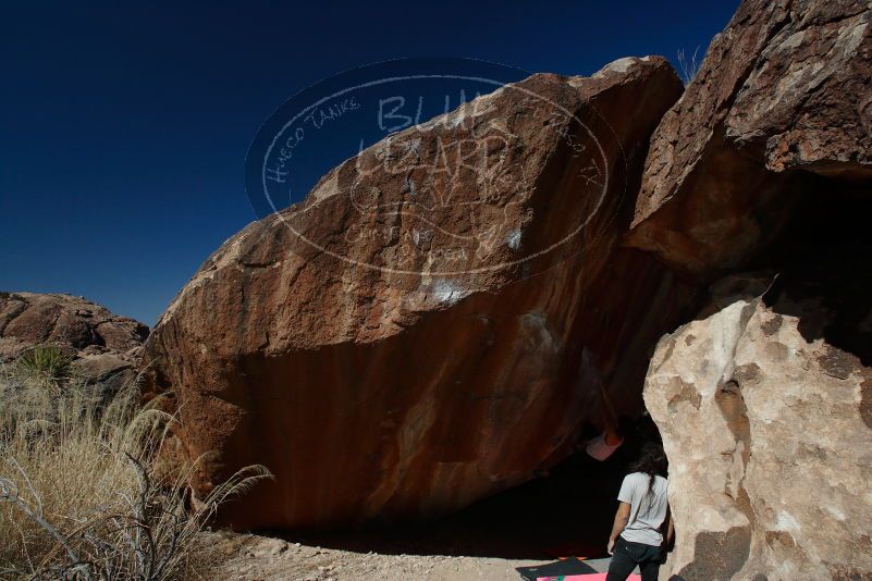 

Filename: SRM_20180209_1219240.jpg
Aperture: f/8.0
Shutter Speed: 1/250
Body: Canon EOS-1D Mark II
Lens: Canon EF 16-35mm f/2.8 L