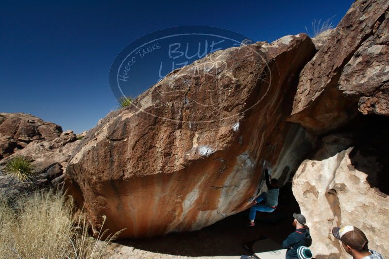 

Filename: SRM_20180224_1228500.jpg
Aperture: f/8.0
Shutter Speed: 1/250
Body: Canon EOS-1D Mark II
Lens: Canon EF 16-35mm f/2.8 L