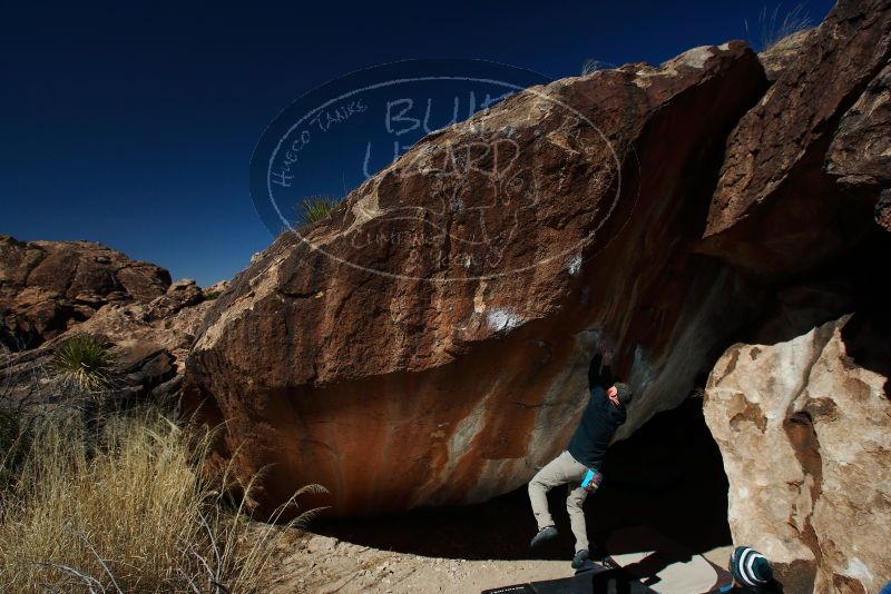 

Filename: SRM_20180224_1226060.jpg
Aperture: f/8.0
Shutter Speed: 1/320
Body: Canon EOS-1D Mark II
Lens: Canon EF 16-35mm f/2.8 L