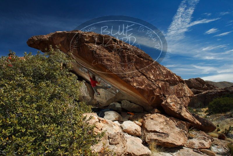 

Filename: SRM_20180310_1302280.jpg
Aperture: f/8.0
Shutter Speed: 1/250
Body: Canon EOS-1D Mark II
Lens: Canon EF 16-35mm f/2.8 L