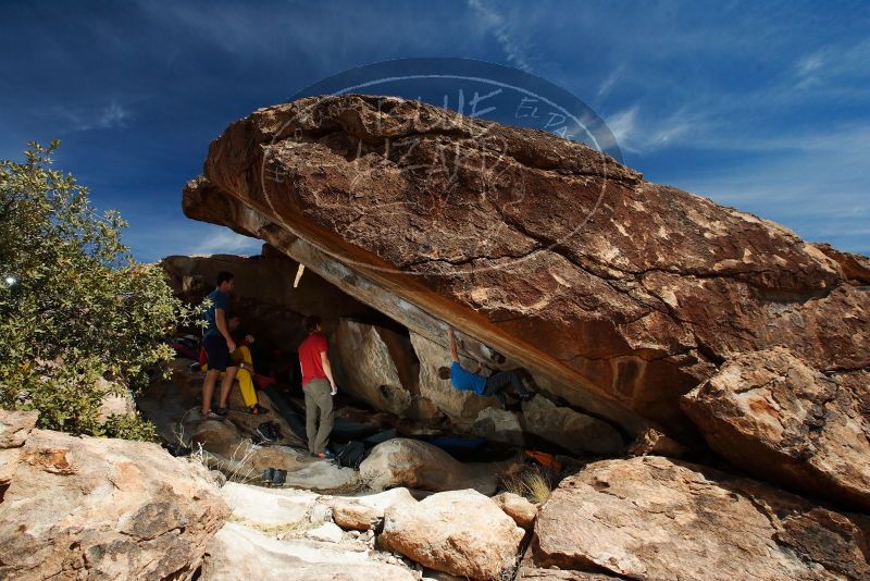 

Filename: SRM_20180310_1252090.jpg
Aperture: f/8.0
Shutter Speed: 1/250
Body: Canon EOS-1D Mark II
Lens: Canon EF 16-35mm f/2.8 L