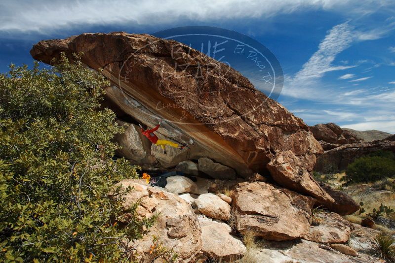 

Filename: SRM_20180310_1306120.jpg
Aperture: f/8.0
Shutter Speed: 1/250
Body: Canon EOS-1D Mark II
Lens: Canon EF 16-35mm f/2.8 L