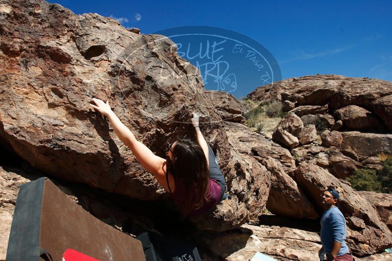 

Filename: SRM_20180317_1358150.jpg
Aperture: f/9.0
Shutter Speed: 1/250
Body: Canon EOS-1D Mark II
Lens: Canon EF 16-35mm f/2.8 L