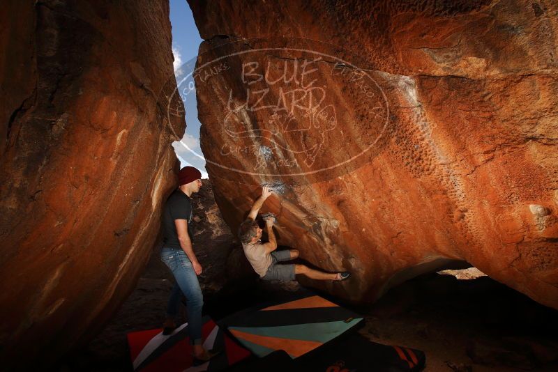 

Filename: SRM_20180315_1154200.jpg
Aperture: f/8.0
Shutter Speed: 1/250
Body: Canon EOS-1D Mark II
Lens: Canon EF 16-35mm f/2.8 L