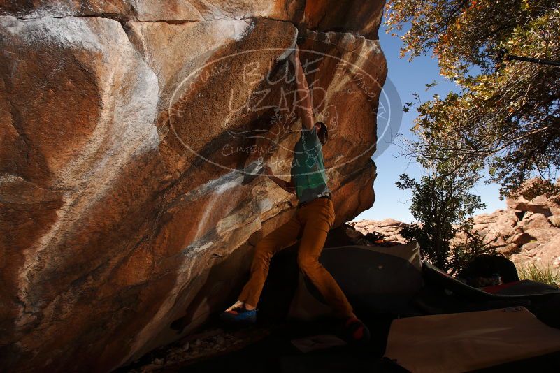 

Filename: SRM_20180329_1431030.jpg
Aperture: f/8.0
Shutter Speed: 1/250
Body: Canon EOS-1D Mark II
Lens: Canon EF 16-35mm f/2.8 L