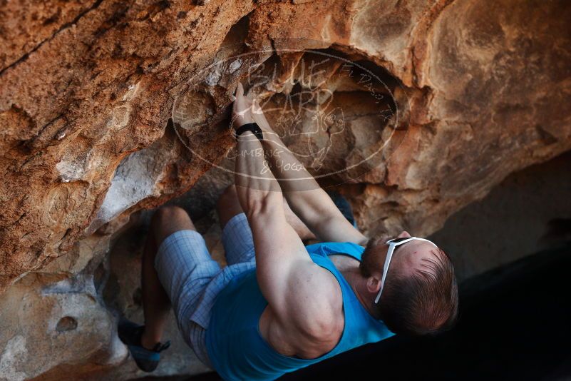 Bouldering in Hueco Tanks on 11/02/2018 with Blue Lizard Climbing and Yoga

Filename: SRM_20181102_1036371.jpg
Aperture: f/4.0
Shutter Speed: 1/320
Body: Canon EOS-1D Mark II
Lens: Canon EF 50mm f/1.8 II