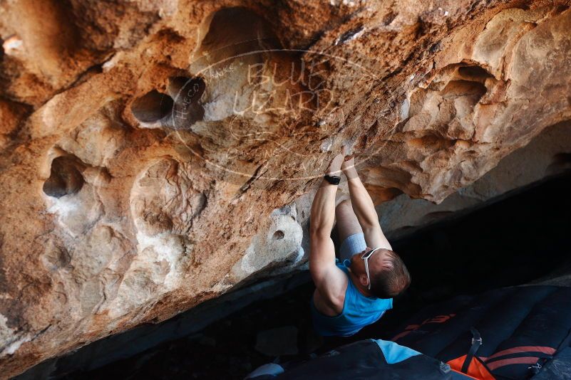 Bouldering in Hueco Tanks on 11/02/2018 with Blue Lizard Climbing and Yoga

Filename: SRM_20181102_1040201.jpg
Aperture: f/4.0
Shutter Speed: 1/250
Body: Canon EOS-1D Mark II
Lens: Canon EF 50mm f/1.8 II