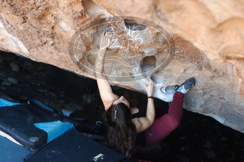 Bouldering in Hueco Tanks on 11/02/2018 with Blue Lizard Climbing and Yoga

Filename: SRM_20181102_1049510.jpg
Aperture: f/4.0
Shutter Speed: 1/160
Body: Canon EOS-1D Mark II
Lens: Canon EF 50mm f/1.8 II