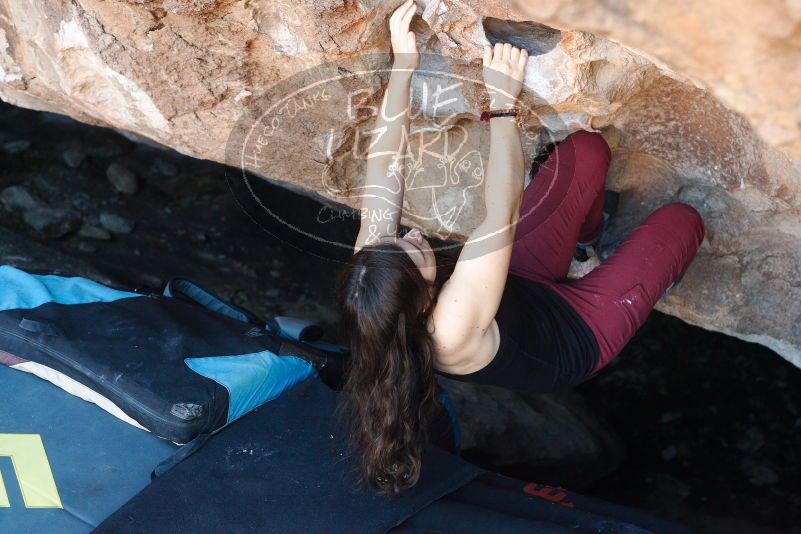 Bouldering in Hueco Tanks on 11/02/2018 with Blue Lizard Climbing and Yoga

Filename: SRM_20181102_1049550.jpg
Aperture: f/4.0
Shutter Speed: 1/160
Body: Canon EOS-1D Mark II
Lens: Canon EF 50mm f/1.8 II