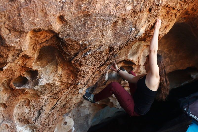 Bouldering in Hueco Tanks on 11/02/2018 with Blue Lizard Climbing and Yoga

Filename: SRM_20181102_1052211.jpg
Aperture: f/4.0
Shutter Speed: 1/320
Body: Canon EOS-1D Mark II
Lens: Canon EF 50mm f/1.8 II