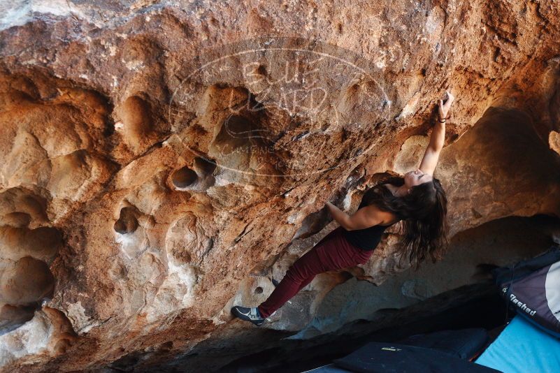 Bouldering in Hueco Tanks on 11/02/2018 with Blue Lizard Climbing and Yoga

Filename: SRM_20181102_1054080.jpg
Aperture: f/4.0
Shutter Speed: 1/320
Body: Canon EOS-1D Mark II
Lens: Canon EF 50mm f/1.8 II