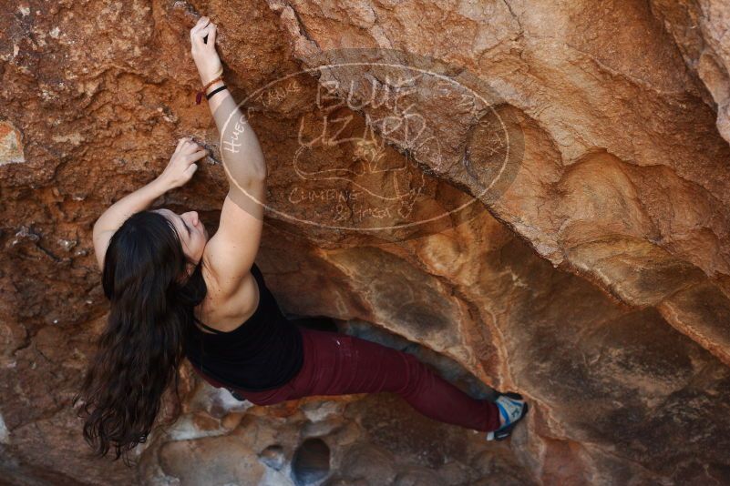 Bouldering in Hueco Tanks on 11/02/2018 with Blue Lizard Climbing and Yoga

Filename: SRM_20181102_1106420.jpg
Aperture: f/4.0
Shutter Speed: 1/500
Body: Canon EOS-1D Mark II
Lens: Canon EF 50mm f/1.8 II