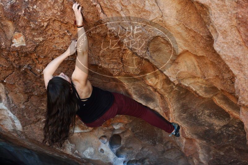 Bouldering in Hueco Tanks on 11/02/2018 with Blue Lizard Climbing and Yoga

Filename: SRM_20181102_1109080.jpg
Aperture: f/4.0
Shutter Speed: 1/400
Body: Canon EOS-1D Mark II
Lens: Canon EF 50mm f/1.8 II