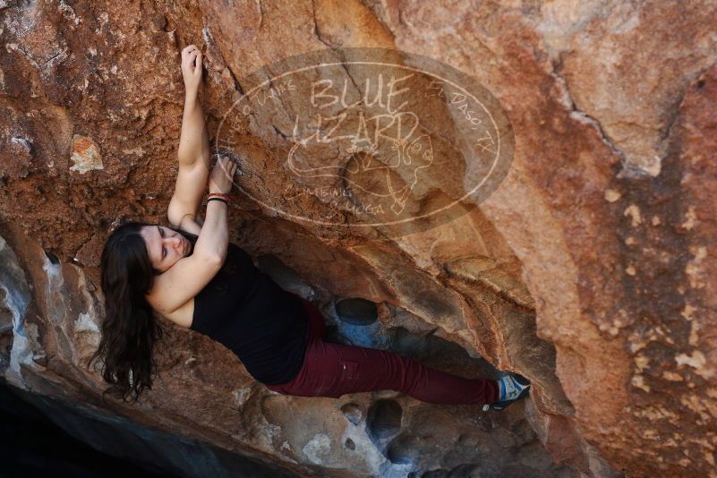 Bouldering in Hueco Tanks on 11/02/2018 with Blue Lizard Climbing and Yoga

Filename: SRM_20181102_1113361.jpg
Aperture: f/4.0
Shutter Speed: 1/500
Body: Canon EOS-1D Mark II
Lens: Canon EF 50mm f/1.8 II