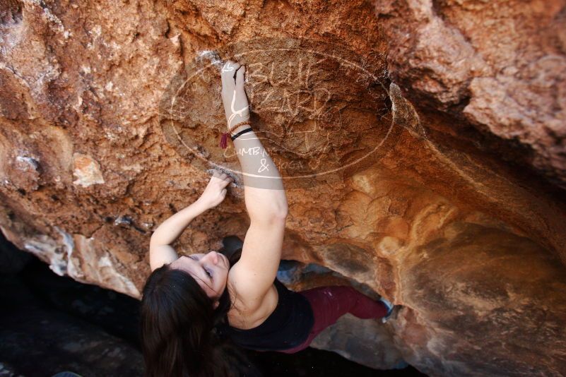 Bouldering in Hueco Tanks on 11/02/2018 with Blue Lizard Climbing and Yoga

Filename: SRM_20181102_1127151.jpg
Aperture: f/4.0
Shutter Speed: 1/320
Body: Canon EOS-1D Mark II
Lens: Canon EF 16-35mm f/2.8 L