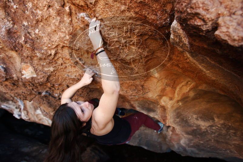 Bouldering in Hueco Tanks on 11/02/2018 with Blue Lizard Climbing and Yoga

Filename: SRM_20181102_1127180.jpg
Aperture: f/4.0
Shutter Speed: 1/320
Body: Canon EOS-1D Mark II
Lens: Canon EF 16-35mm f/2.8 L