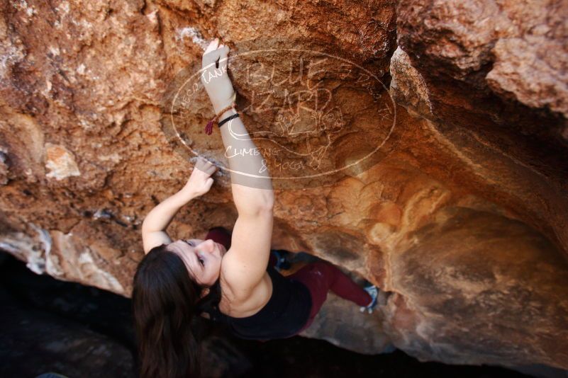 Bouldering in Hueco Tanks on 11/02/2018 with Blue Lizard Climbing and Yoga

Filename: SRM_20181102_1127182.jpg
Aperture: f/4.0
Shutter Speed: 1/320
Body: Canon EOS-1D Mark II
Lens: Canon EF 16-35mm f/2.8 L