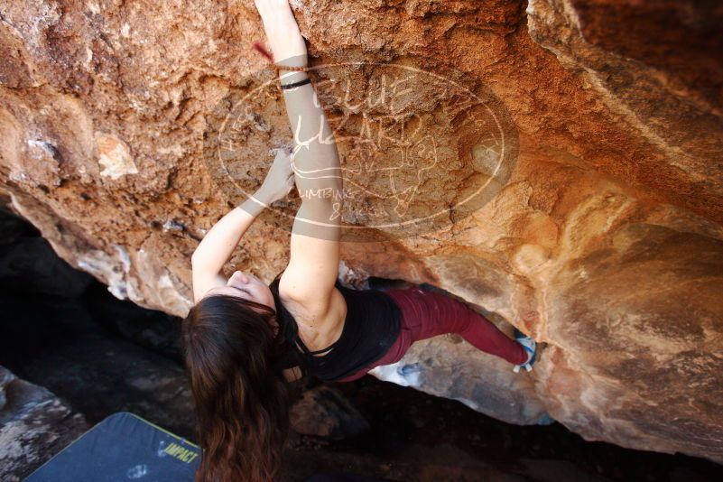 Bouldering in Hueco Tanks on 11/02/2018 with Blue Lizard Climbing and Yoga

Filename: SRM_20181102_1130210.jpg
Aperture: f/4.0
Shutter Speed: 1/250
Body: Canon EOS-1D Mark II
Lens: Canon EF 16-35mm f/2.8 L