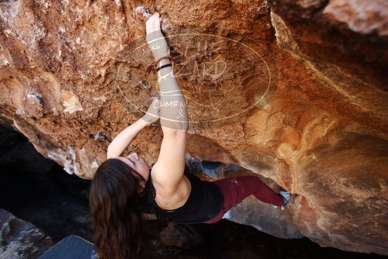 Bouldering in Hueco Tanks on 11/02/2018 with Blue Lizard Climbing and Yoga

Filename: SRM_20181102_1130220.jpg
Aperture: f/4.0
Shutter Speed: 1/320
Body: Canon EOS-1D Mark II
Lens: Canon EF 16-35mm f/2.8 L