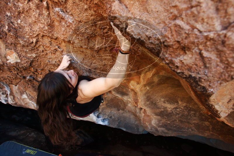 Bouldering in Hueco Tanks on 11/02/2018 with Blue Lizard Climbing and Yoga

Filename: SRM_20181102_1130291.jpg
Aperture: f/4.0
Shutter Speed: 1/400
Body: Canon EOS-1D Mark II
Lens: Canon EF 16-35mm f/2.8 L