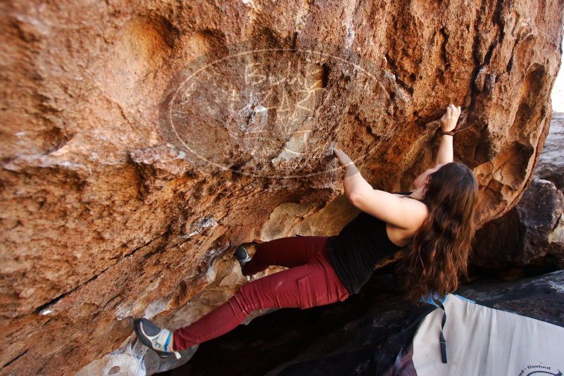 Bouldering in Hueco Tanks on 11/02/2018 with Blue Lizard Climbing and Yoga

Filename: SRM_20181102_1133530.jpg
Aperture: f/4.0
Shutter Speed: 1/320
Body: Canon EOS-1D Mark II
Lens: Canon EF 16-35mm f/2.8 L