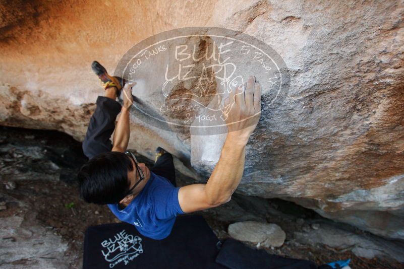 Bouldering in Hueco Tanks on 11/02/2018 with Blue Lizard Climbing and Yoga

Filename: SRM_20181102_1212221.jpg
Aperture: f/4.0
Shutter Speed: 1/250
Body: Canon EOS-1D Mark II
Lens: Canon EF 16-35mm f/2.8 L